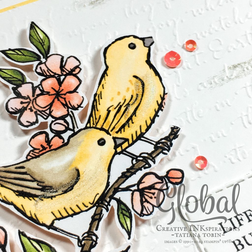 Tatiana Creative Stamping Adventure - COVID-19 Relief cards using Share Sunshine COVID-19 PDF and Bird Ballad DSP both from Stampin' Up!®